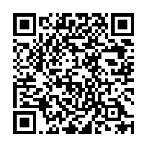 朗多休斯作为休斯家族家主的孙子从小可是被万般宠溺二维码生成