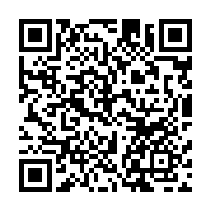 望着杀戮者不可一世的身躯被强行拆成了一地的零件和碎片二维码生成