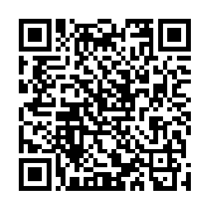 木犀在瞬间将自己身上受到的巨力转移到了脚下的地面上二维码生成