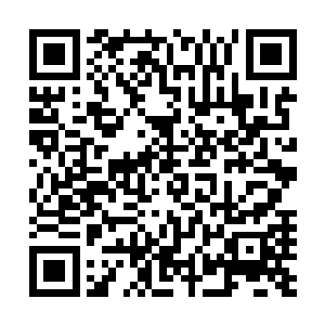 未必比低阶的大宗师高手弱到哪里去的……真正的生死搏杀二维码生成
