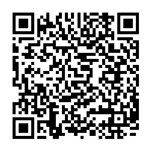 本来还静坐着猜疑第六环内结果如何的令狐白等人陡然听到嘎嘎嘎的巨颤声二维码生成