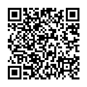 李佳确定这孟瑶的男友秦宇肯定身份来历不简单二维码生成