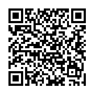 杜克不但能彻底还掉大学期间因为拍摄实验片欠下的账务二维码生成