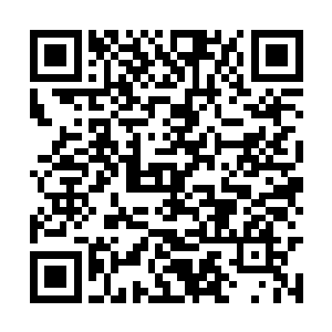 杨戬就已经决定这一次绝对不会放过眼前的付先生二维码生成