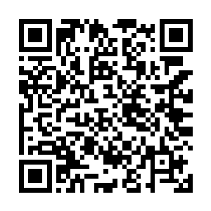 杨辰从小雪口中也得知了更多通天塔以及万妖界的信息二维码生成