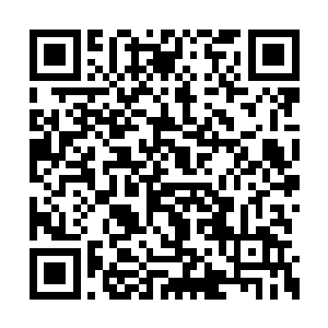 林光山又想起了以前在实验室里生不如死的折磨二维码生成