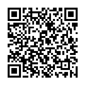 林烽在刚才就已经在心里面想着要怎么管理白羽门了二维码生成