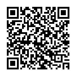 林烽很自然地便将那一串珍珠项链护身符戴在了李雨彤的手腕上二维码生成