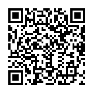 林铭与刚死的三星帝级强者的意志体已经战斗了整整十天二维码生成