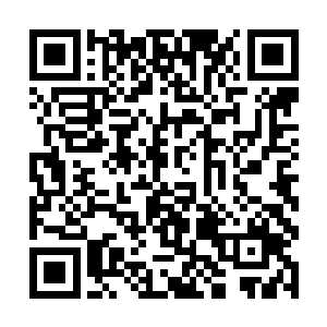 果然是将老子当成了完全没见过世面的乡下人了……二维码生成