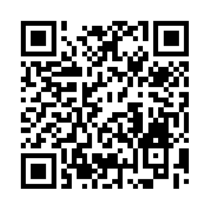 树上的虎头和小狮子没看到皇伯伯发愣二维码生成