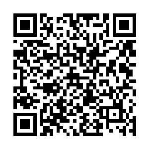 根据道格提供的信息进行检索的学姐立刻倒吸了一口气二维码生成