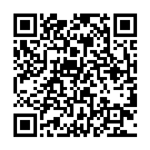 格斯和格蕾面无表情看着散发传单的家伙被卫兵拖走二维码生成