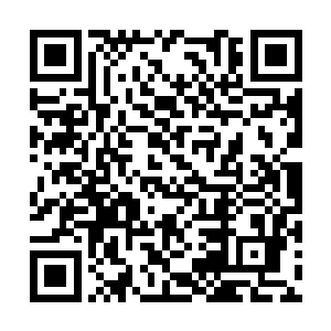 梓箐拿着一份免费的利齿鼠出没的地图册就出发了二维码生成