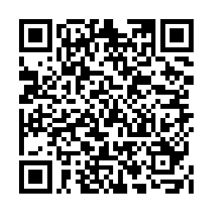 梓箐用意念划做的触手轻轻触碰这个小小的光点二维码生成