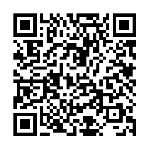 梓箐觉得即便是这宅斗背景的剧情任务也变得危机重重二维码生成