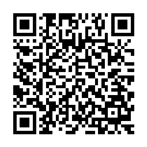 梓箐还没找到什么秘宝或者修炼功法可以直接强大自己的灵魂二维码生成