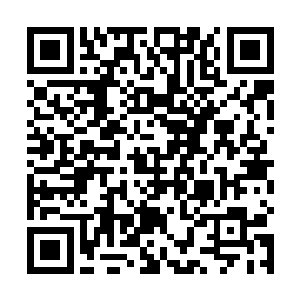 楚旬并不是利用什么精神力或者异能压制了伤口的血液二维码生成