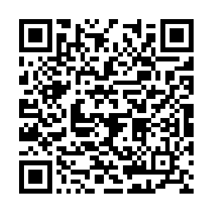 楚旬的脸上也不由得浮现出一丝激动和惊喜的神色二维码生成