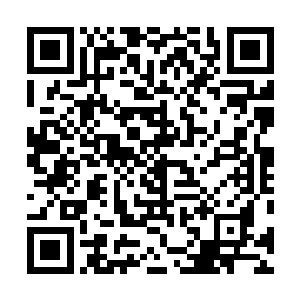 楚旬真正的核心已经完全缩小并且隐藏在了这身躯的某处二维码生成