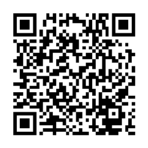 楚旬等人也在医生的帮助之下进行了生命之核的植入手术二维码生成