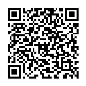 楚暮打算再次将练气练体修为都提升到一致的程度二维码生成
