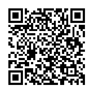 楚暮自创的剑法以及从真神剑宗禁地万剑碑林带回来的部分剑法二维码生成