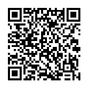 正在抓心挠肺的寻找伴侣的年轻的猎手们默默的转过头去二维码生成