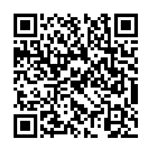 正在被吞噬的月亮给了世人最为直观和绝望的表述二维码生成