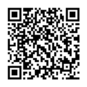 正是靠着一晚接一晚面对各种挑剔顾客一刀一枪打磨出来的二维码生成