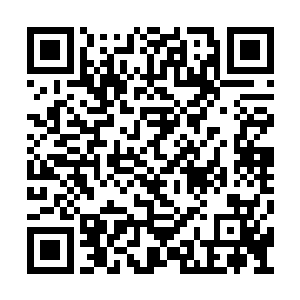 此刻投影之枪上竟然也浮现出了一丝细小的裂纹二维码生成