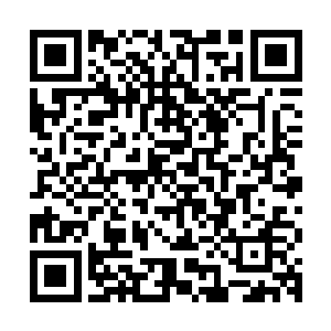 此刻正瞪着一双充满灵动的小眼睛紧紧的盯着站在不远处的玄斗二维码生成