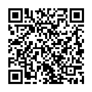 此时才刚复活的陈诚一门心思都放在自己新出的装备上二维码生成