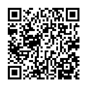此时的凤火舞也彻底的被凌天阁里面的这么多功法给震撼了二维码生成