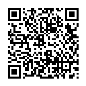 此时的太上大长老以及是下定决心要和家主死磕了二维码生成