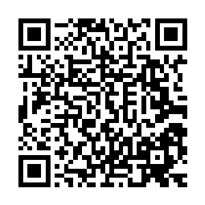 此时的气氛实在是好的让他有些不知道怎么将皇上的旨意拿出来二维码生成