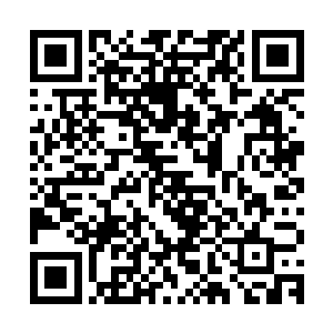 此时的江千凌几乎将自己的全部灵气都用于对付后边这偷袭之人二维码生成