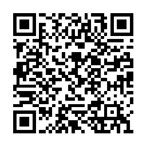 此时石山的电力对南寻风的作用已经不是很大了二维码生成