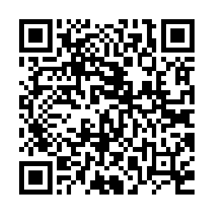 武英奇纸面上的军力绝对抵挡不住四大家族皇牌舰队的轮番进攻二维码生成