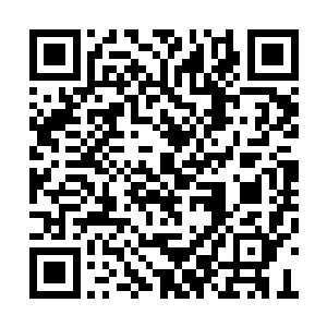 殿宇宅院的规格也就是比苗毅这位圣主的差一点二维码生成