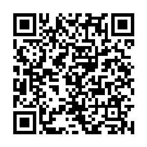 每个家族的首领都走到了代表自己家族的石柱面前二维码生成