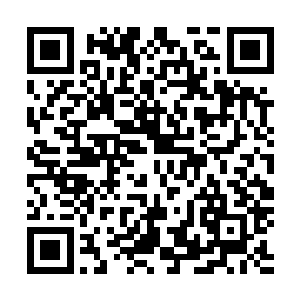 每次遇到他都饱受打击……崔浩心中的骄傲忽地消散了不少二维码生成