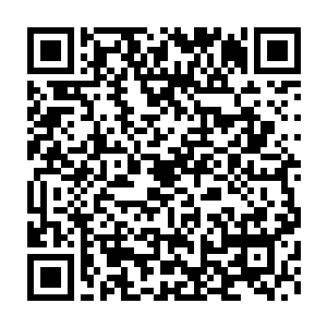 毕竟仅仅从外面的禁制就可以看出这个洞府的主人实力绝对非同一般二维码生成
