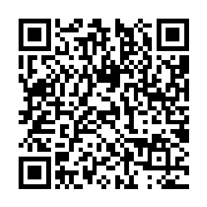 毕竟从这个病在短暂的时间内席卷了整个南山中学二维码生成