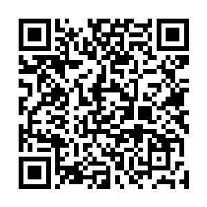 毕竟他能够达到神级顶峰的实力也不是他自己努力的结果二维码生成
