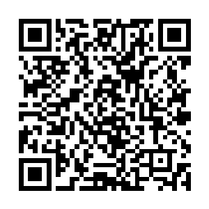 毕竟他需要做的只是让他们不白白的陨落在接引地中二维码生成