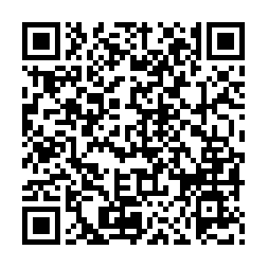 毕竟你如今大部分的修为都是在巫族传承和凶灵虫体带来的虫族基因之上二维码生成