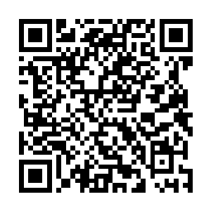 毕竟回头夏侯虎城也没能力把他们推上天街大统领的位置二维码生成