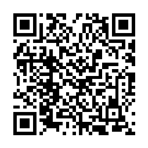 毕竟夫人之前说过办不好就要给他全家找墓地长眠的话二维码生成