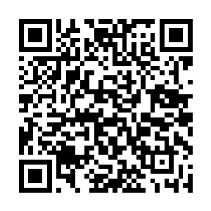 毕竟她曾经是有史以来身价最高和最会做生意的超模二维码生成